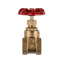 TORRENTI GATE VALVE BRASS H/DUTY 32MM Default Title