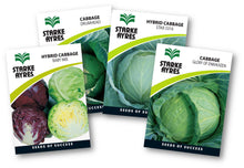 STARK AYRES SEED VEG POLYPACK CABBAGE Default Title