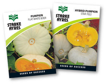 STARK AYRES SEED VEG POLYPACK PUMPKIN Default Title