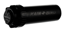 SPRINKLER POP-UP 5004 RAINBIRD