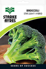 STARKE AYRES POLYPACK MICROGREEN BROCCOLI