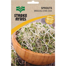 STARKE AYRES POLYPACK SPROUTS BROCCOLI