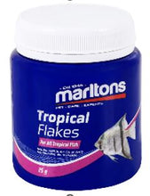 FISH FOOD TROPICAL FLAKES 25G MARLTONS