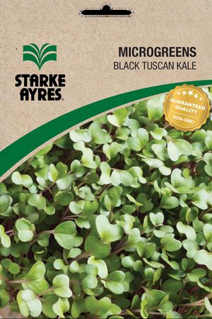 STARKE AYRES POLYPACK MICROGREEN T/KALE