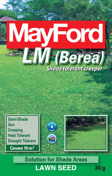 LM BEREA MAYFORD GRASS 30G