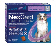 NEXGARD SPECTRA DOG 1 CHEW