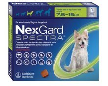 NEXGARD SPECTRA DOG 1 CHEW