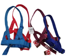 HALTER FOAL BABY NON SLIP NYLON SOLO