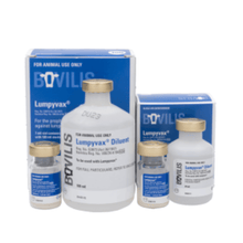 VACCINE LUMPYVAX 100ML + 7ML MSD