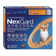 NEXGARD SPECTRA DOG 1 CHEW