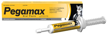 PEGAMAX ORALPASTE 32.4G KYRON