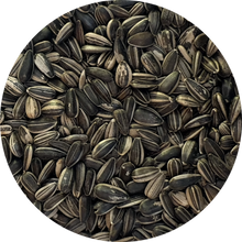 SUNFLOWER STRIPED SEED 5KG GOLDWING