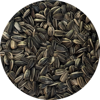 SUNFLOWER STRIPED SEED 5KG GOLDWING