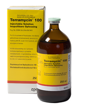 TERRAMYCIN 100 ZOETIS