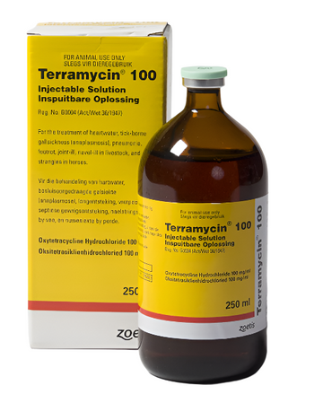 TERRAMYCIN 100 ZOETIS