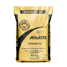 WENLICK 50 40KG MOLATEK